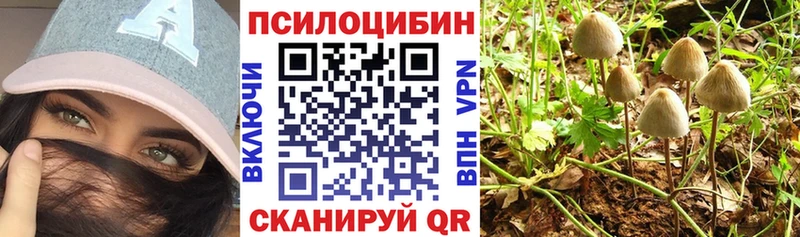 Псилоцибиновые грибы Cubensis  купить наркотики цена  Лесной 